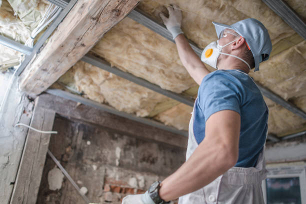 Insulation Inspection Services in Surfside, FL